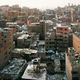 Image for article titled The Weirdest Urban Ecosystems On Earth